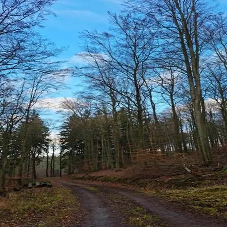Altmuehltal With Terrace Beilngries