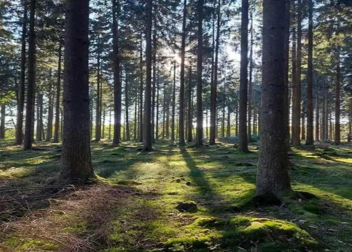 Lejlighed Romantische Auszeit Im Altmuehltal *
